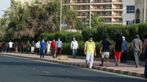 Kuwait wants to slash migrant population by more than half - livemint.com - Kuwait - city Kuwait