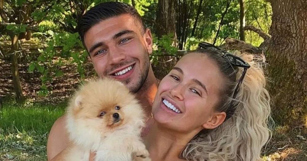 Molly-Mae Hague - Tommy Fury - Tiffany Chihuahuas - Lucy's Law founder demands urgent probe into death of Molly-Mae Hague and Tommy Fury's puppy - mirror.co.uk - Russia - city Amsterdam - city Hague