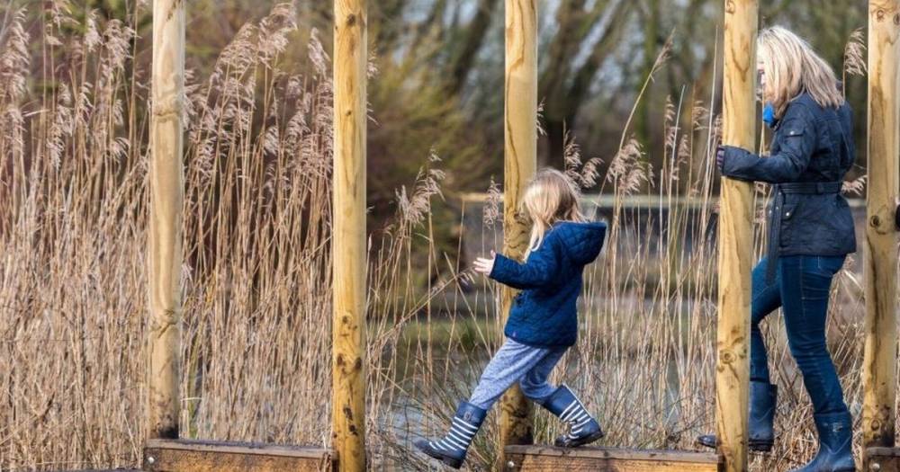 Martin Mere nature reserve reopens to the public but there are new rules - manchestereveningnews.co.uk