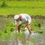 Arrival of monsoon adds to filmmakers’ woes - livemint.com - city New Delhi - India