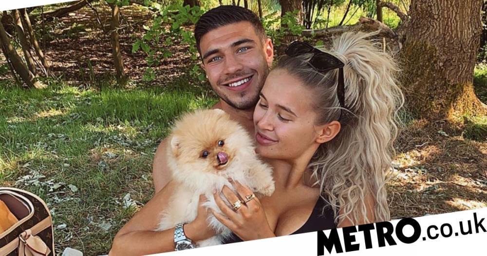 Molly-Mae Hague - Tommy Fury - Mae Fury - Celebrity vet wants probe after Molly-Mae Hague and Tommy Fury’s dog dies - metro.co.uk - Russia - city Hague