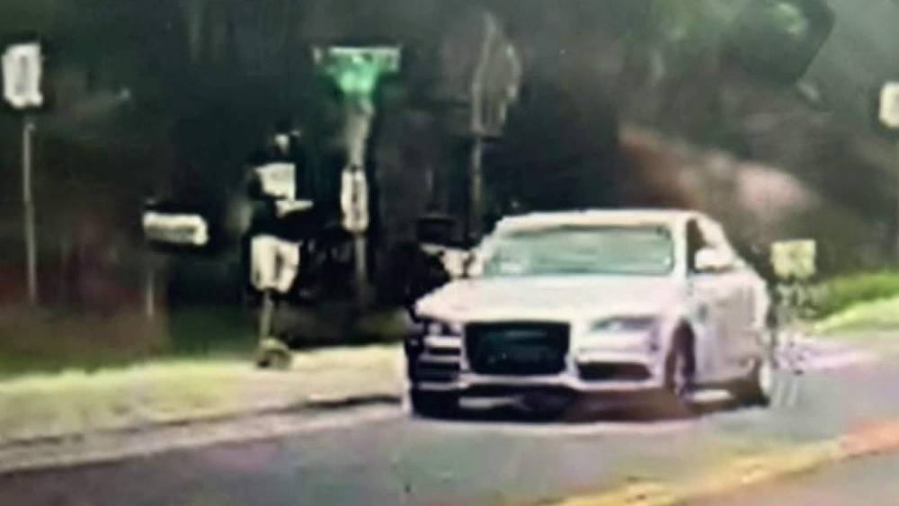 Police search for person firing frozen paintballs from car - clickorlando.com - city Ocala