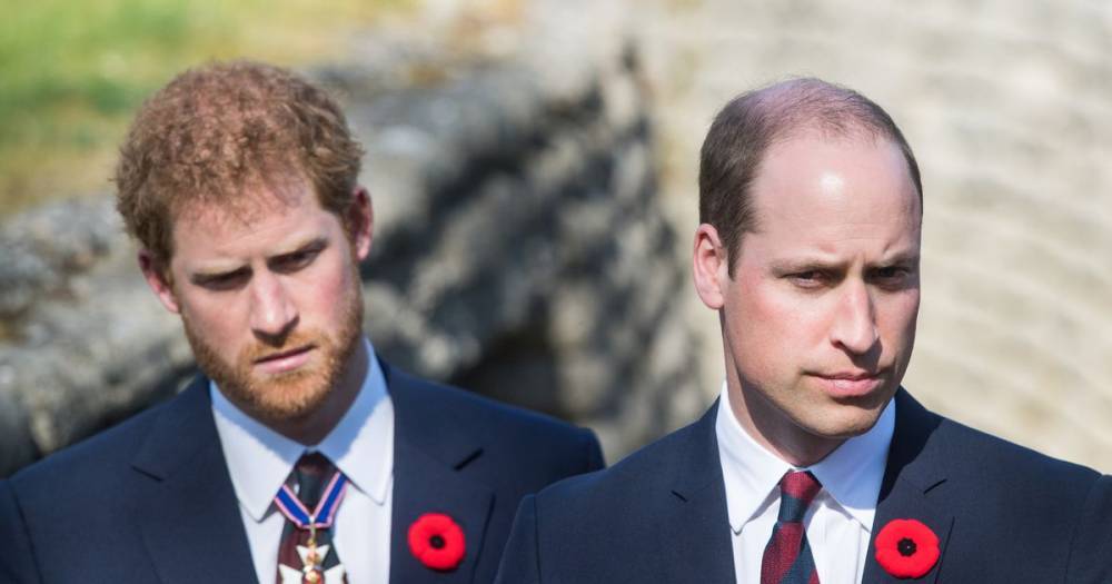Meghan Markle - Royal Family - prince Harry - prince William - Prince Harry urged by William to move family back to UK 'for his own safety', says source - dailystar.co.uk - Britain - Los Angeles - county Prince William - London