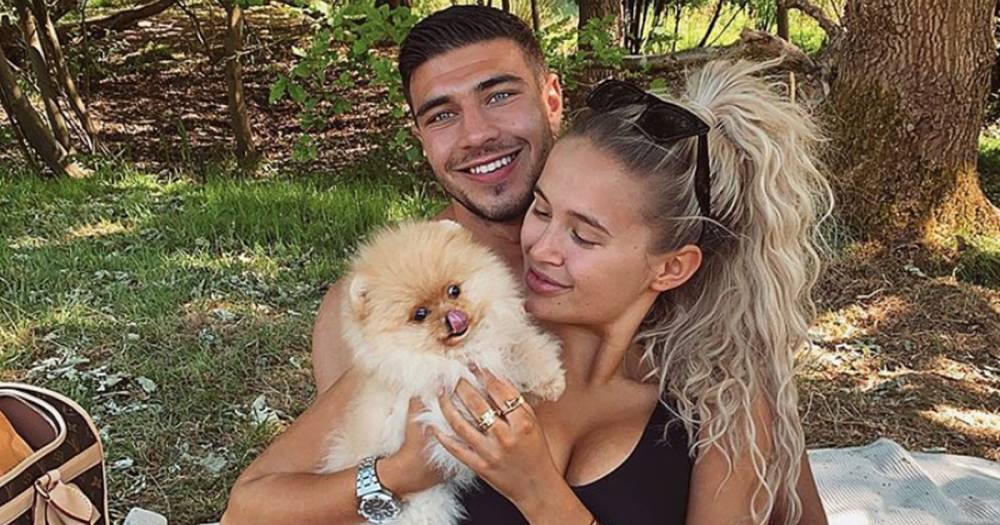 Molly-Mae Hague - Tommy Fury - Mae Fury - Celebrity vet demands probe into death of Molly-Mae Hague and Tommy Fury's puppy Mr Chai - ok.co.uk - Russia - city Hague