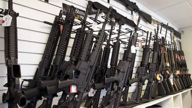 Florida Supreme Court blocks assault weapon ban from ballot - clickorlando.com - state Florida - city Tallahassee, state Florida