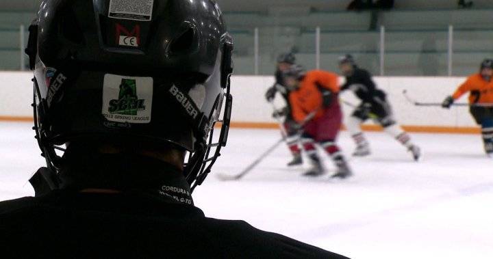 Hockey Canada - Hockey Regina accepting registrations for 2020-21 season - globalnews.ca - Canada