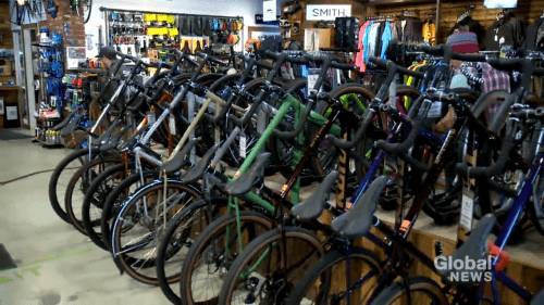 Adam Macvicar - Calgary bike shops see shortage as sales soar amid COVID-19 pandemic - globalnews.ca