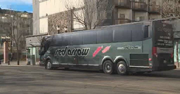 Red Arrow, Ebus service to resume in Alberta with COVID-19 safety measures - globalnews.ca