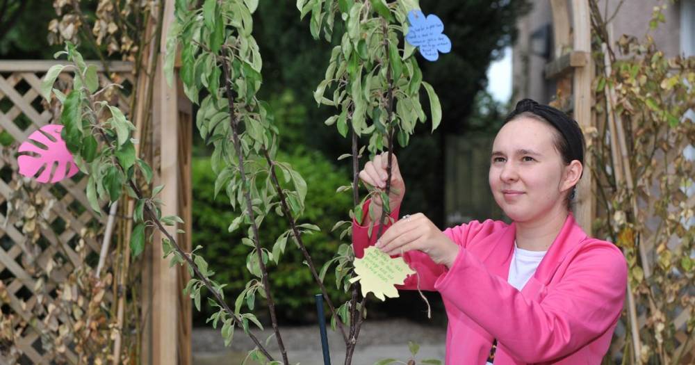 Residents asked to share their hopes for the region on new wishing tree - dailyrecord.co.uk