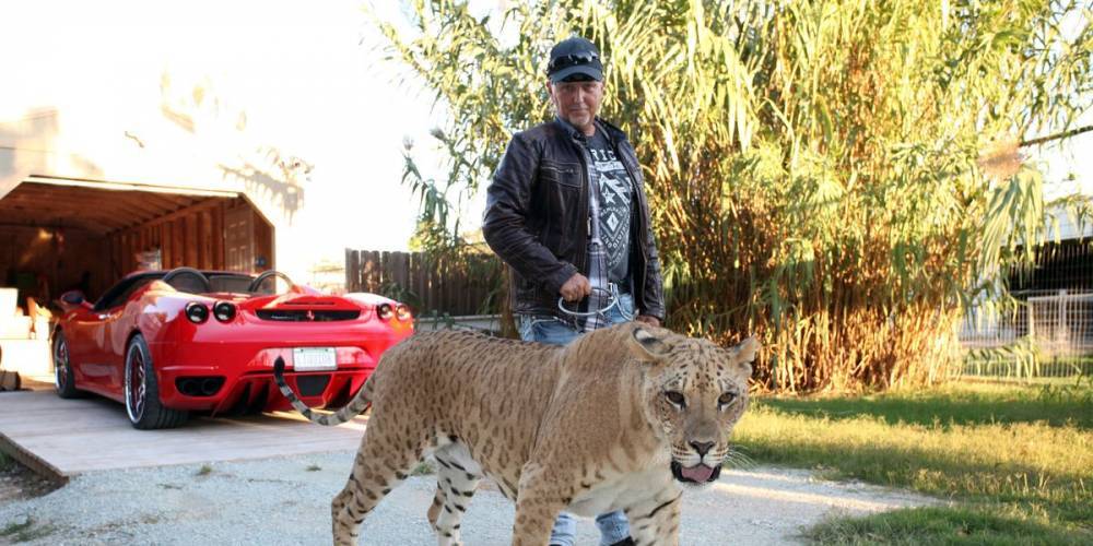 Joe Exotic - Tiger King - Jeff Lowe - Lauren Lowe - Tiger King's Jeff Lowe Has "Signed [on] for a Reality TV Show" About His New Zoo - cosmopolitan.com