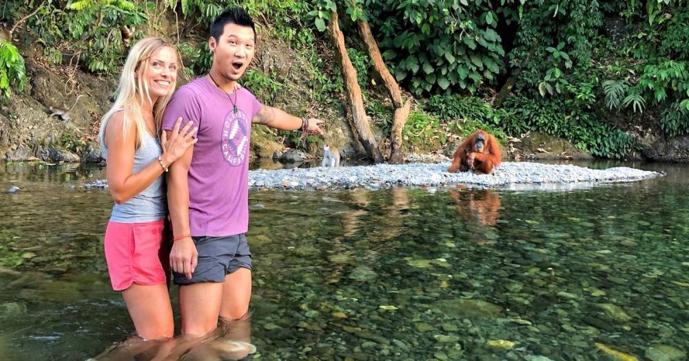 Couple stranded in paradise with orangutans - and the hotel is £5 a night - mirror.co.uk - Indonesia - Britain