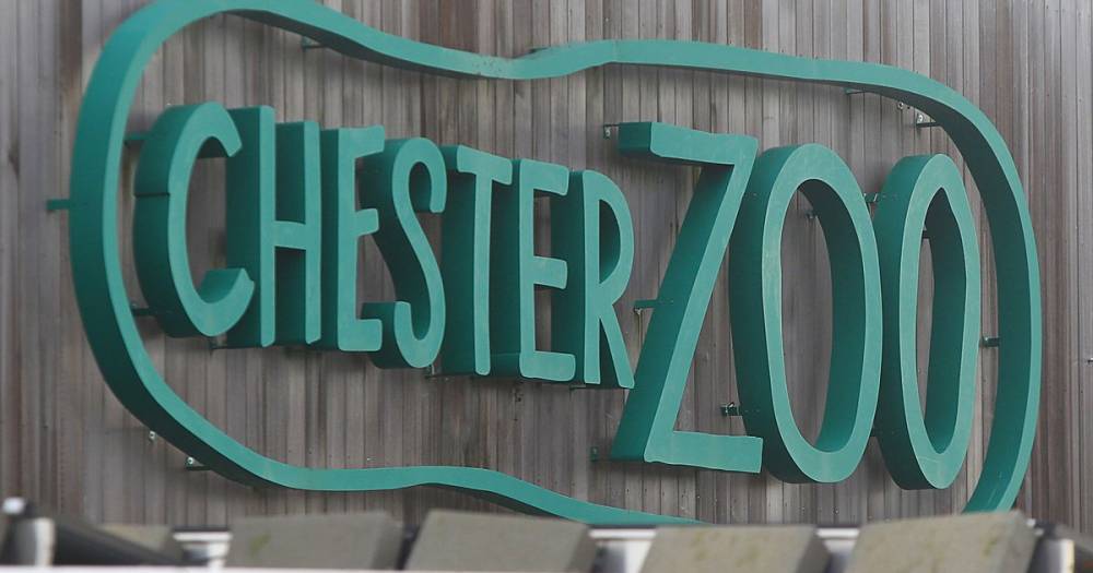 Chester Zoo - Jamie Christon - Chester Zoo issues message of 'renewed hope' as fundraiser to save it gains £2m - manchestereveningnews.co.uk