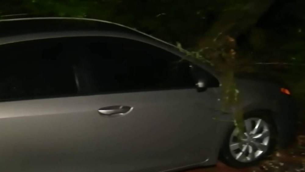 Tree crashes into woman’s car near Lake Davis in Orange County - clickorlando.com - state Florida - county Orange - county Lake - county Davis