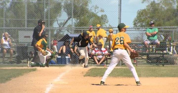 Manitoba minor baseball teams to begin try-outs, training on Monday - globalnews.ca