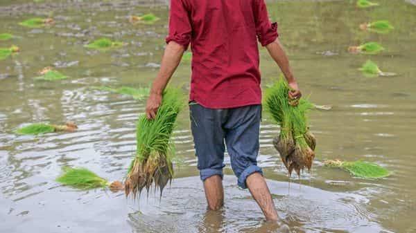 Ram Nath Kovind - Farm sector reforms depend on fresh avenues, markets to bear fruit - livemint.com - city New Delhi - India