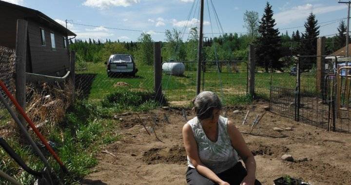 Meadow Lake - Return to the land: Gardening grows in northwest Saskatchewan during COVID-19 lockdown - globalnews.ca