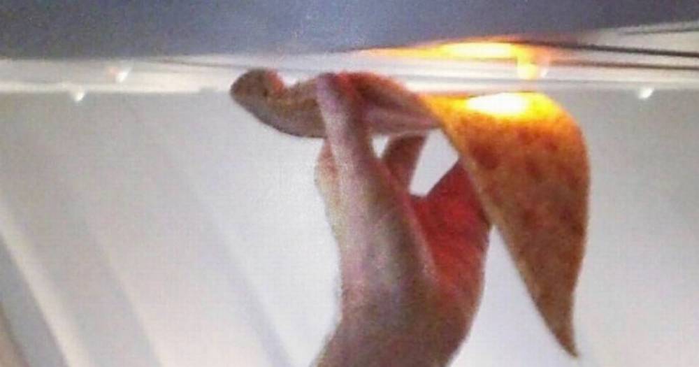 'Disgusting' plane passenger attempts to heat up cold pizza slice on aeroplane - dailystar.co.uk