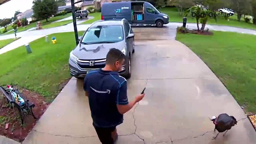 Video: Ticked off Turkey chases Amazon delivery driver away from DeBary home - clickorlando.com - France - Turkey - city Sanford