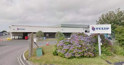 Coronavirus outbreak at meat factory as one person infects 170 others - mirror.co.uk