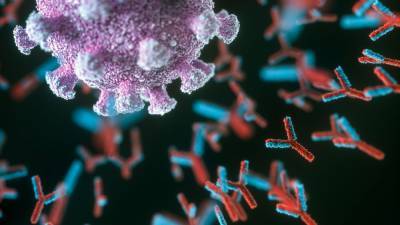 ‘Provocative results’ boost hopes of antibody treatment for COVID-19 - sciencemag.org