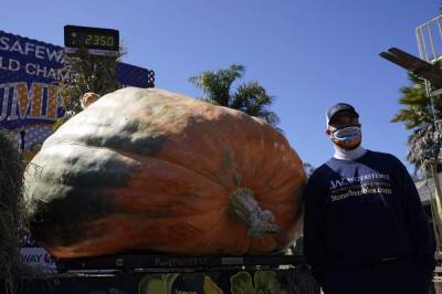 Pumpkin weighing 2,350 pounds wins California contest - clickorlando.com - state California - San Francisco - state Minnesota - county Bay - county Anoka