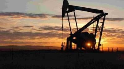 OPEC again cuts 2021 oil demand forecast as Covid-19 cases rise - livemint.com