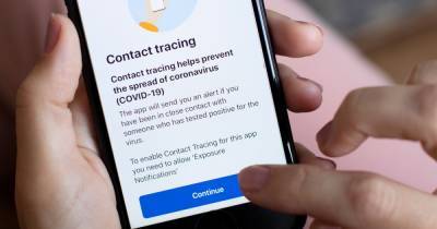 What to do if you get 'someone you were near reported having COVID-19' alert on NHS Covid app - manchestereveningnews.co.uk