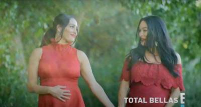 Nikki Bella - Daniel Bryan - Total Bellas season 6: Nikki & Brie Bella give insight into the twin’s mid pandemic pregnancy; Watch - pinkvilla.com