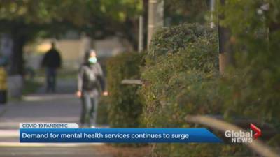 Calls for mental health supports grow in Toronto as the pandemic continues - globalnews.ca