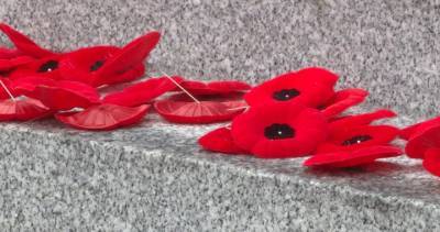 Remembrance Day 2020: Different plans for different southeastern Ontario locations - globalnews.ca - city Kingston - city Belleville
