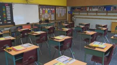 Erica Vella - Parents, teachers voice concerns over increase in some TDSB class sizes - globalnews.ca