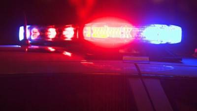 Police: Delaware man assaulted K-9, struck patrol car - fox29.com - state Delaware - Georgetown, state Delaware