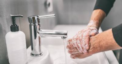 Mark E.Howard - Demographic Characteristics, Experiences, and Beliefs Associated with Hand Hygiene Among Adults During the COVID-19 Pandemic — United States, June 24–30, 2020 - cdc.gov - Usa