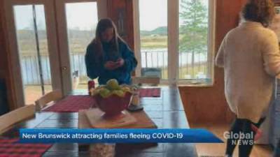 Megan Yamoah - Meet the family who moved from Ontario to N.B. because of the pandemic - globalnews.ca - county Ontario - city Ontario