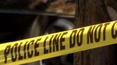 Police: Man shot twice in face inside home in Cedarbrook - fox29.com