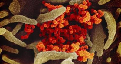 Nova Scotia - Nova Scotia reports no new coronavirus cases on Monday - globalnews.ca