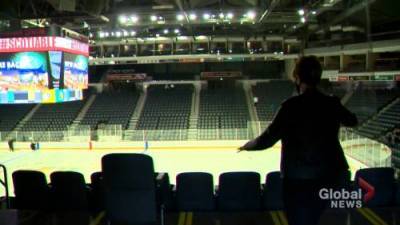 Hockey returns to Scotiabank Centre this weekend - globalnews.ca