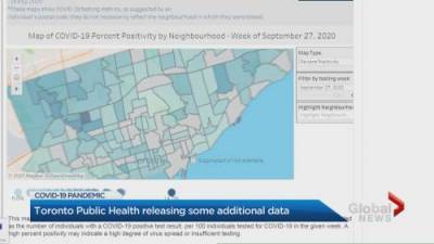 Matthew Bingley - Toronto Public Health begins sharing more testing data for neighbourhoods - globalnews.ca