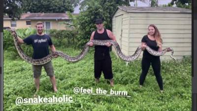 Sunshine Florida - Matt Austin - Ginger Gadsden - Record-breaking python catchers explain why trapping invasive snakes is critical to Florida’s ecosystems - clickorlando.com - state Florida - county Union - Austin - county Gadsden