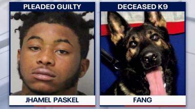 19-year-old who shot and killed Florida K-9 asks judge for leniency after pleading guilty - fox29.com - state Florida - city Jacksonville, state Florida