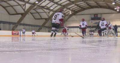 Hockey Canada - Coronavirus: Toronto house league hockey groups weigh pros, cons of upcoming season - globalnews.ca