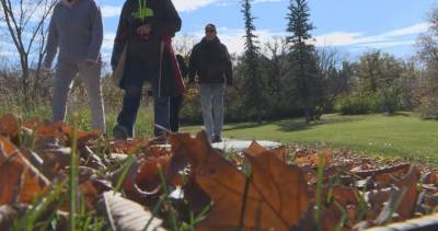 Interest in Manitoba outdoor activities stretching into the fall amid COVID-19 - globalnews.ca