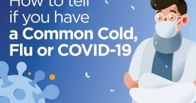 Coronavirus, the flu or the common cold? Here’s what to know - globalnews.ca