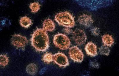 CDC says coronavirus can spread indoors in updated guidance - clickorlando.com - New York