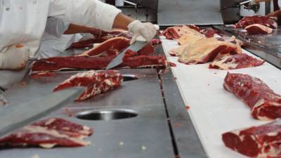 Almost 25,000 samples taken for meat plant testing - rte.ie - Ireland