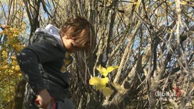 Outdoor Kids Club connects Regina students learning from home during COVID-19 pandemic - globalnews.ca