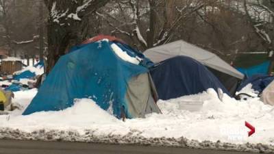 Edmonton Convention Centre shelter capacity questioned as homeless camps close for the winter - globalnews.ca
