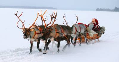 TUI has cancelled holidays to Lapland for the winter because of Covid-19 - mirror.co.uk - city Santa