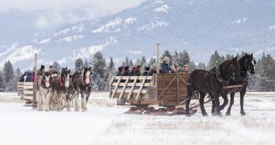 North Okanagan - Coronavirus: Annual sleigh ride in Armstrong cancelled because of rising COVID-19 cases - globalnews.ca - county Armstrong