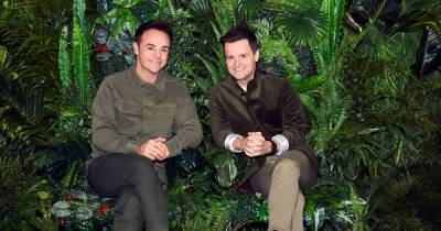Declan Donnelly - Ant and Dec to take regular Covid tests as part of 'I'm A Celeb' coronavirus management plan - msn.com